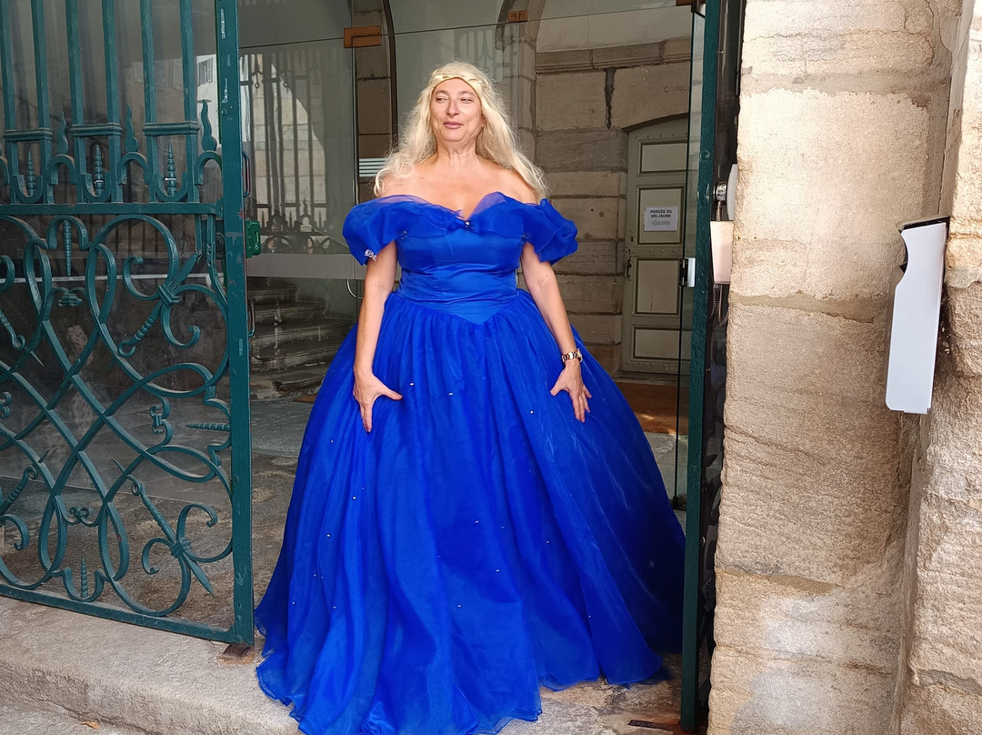 Office de Tourisme De Lons-le-Saunier-隆勒索涅必去景点