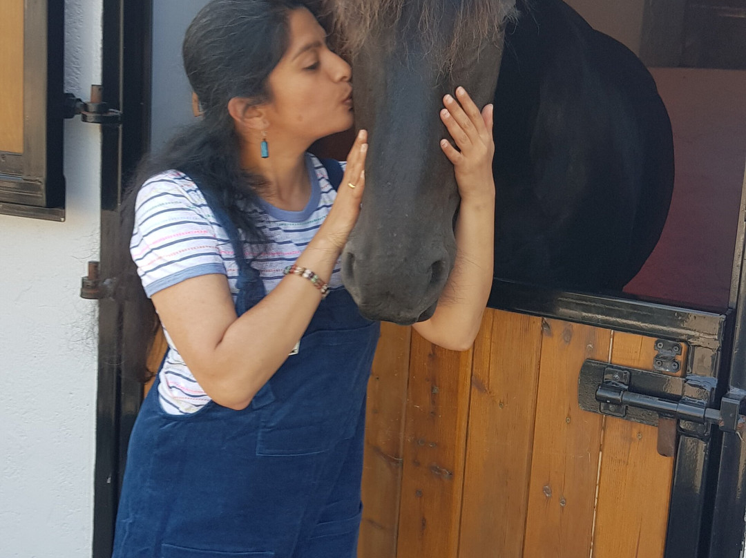 The Friesian Experience-Cartmel必去景点