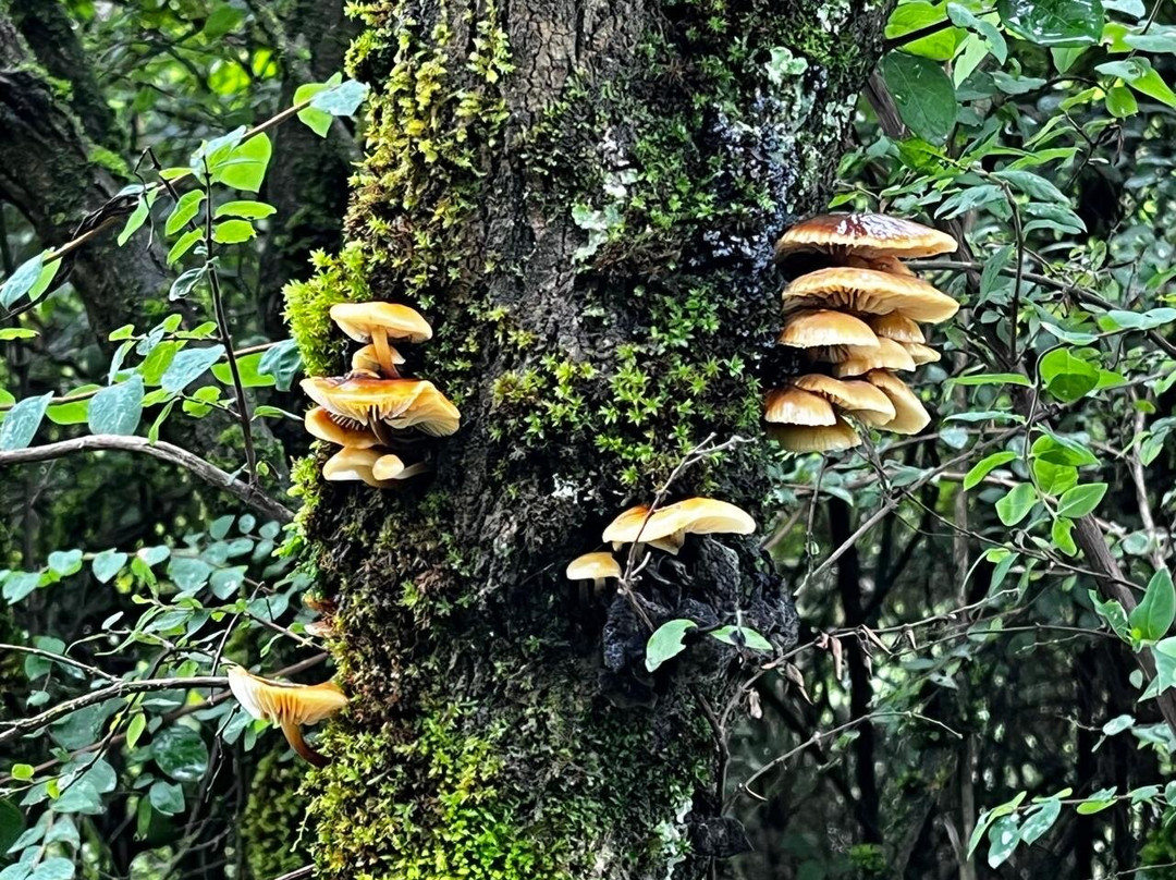 Funset Experience-Amecameca必去景点