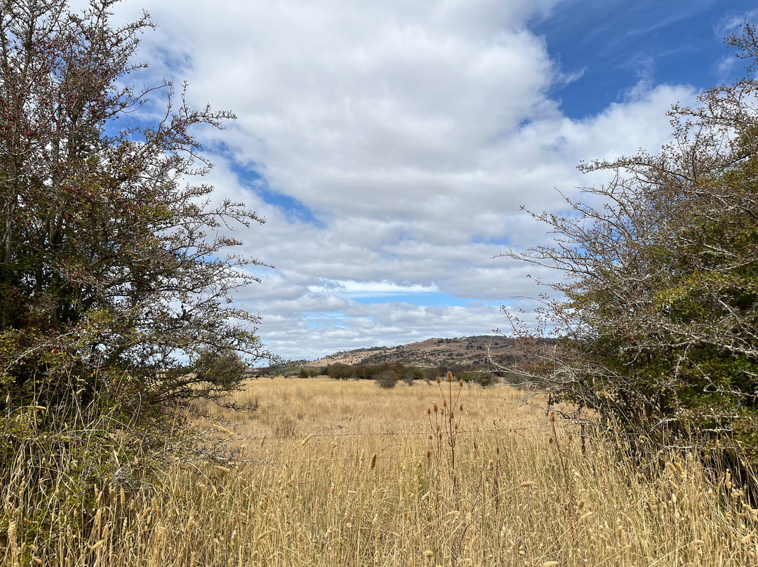 Ross Female Factory-罗斯必去景点