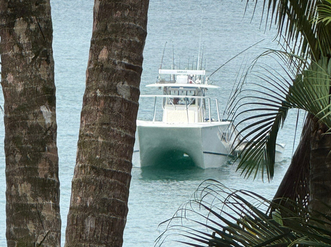 Sport Fish Panama Island Lodge-Boca Chica必去景点