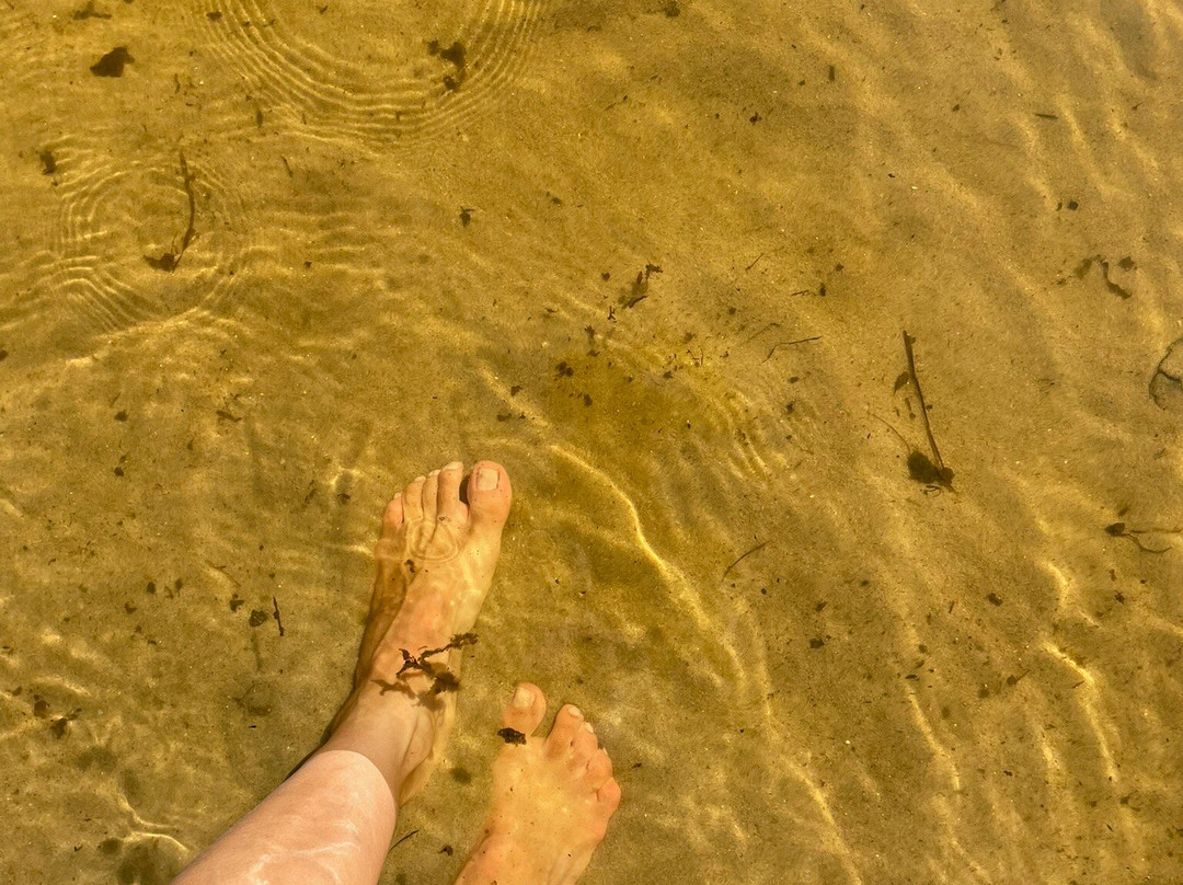 Hotel Sambaqui主图