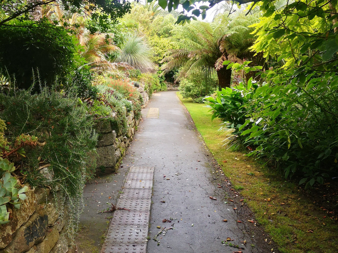 Morrab Gardens-彭赞斯必去景点