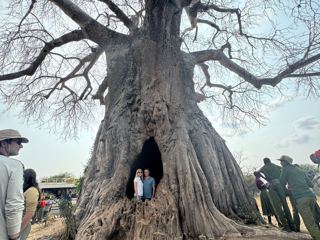 Tanzania-Safari-阿鲁沙必去景点