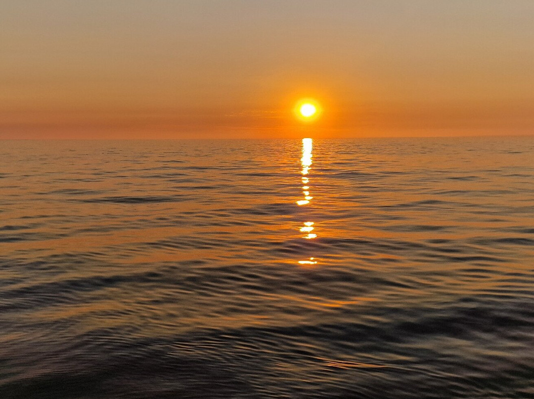 O'Abandonado-Noirmoutier en l'Ile必去景点