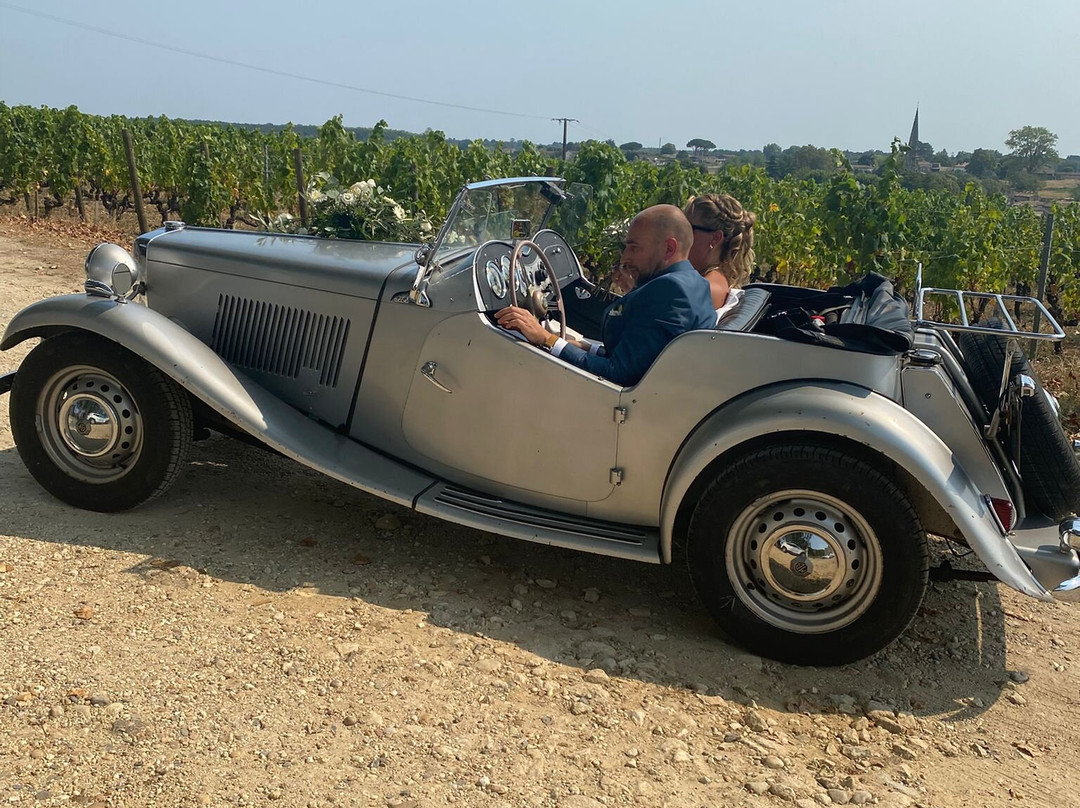 Château D’arche-Sauternes必去景点