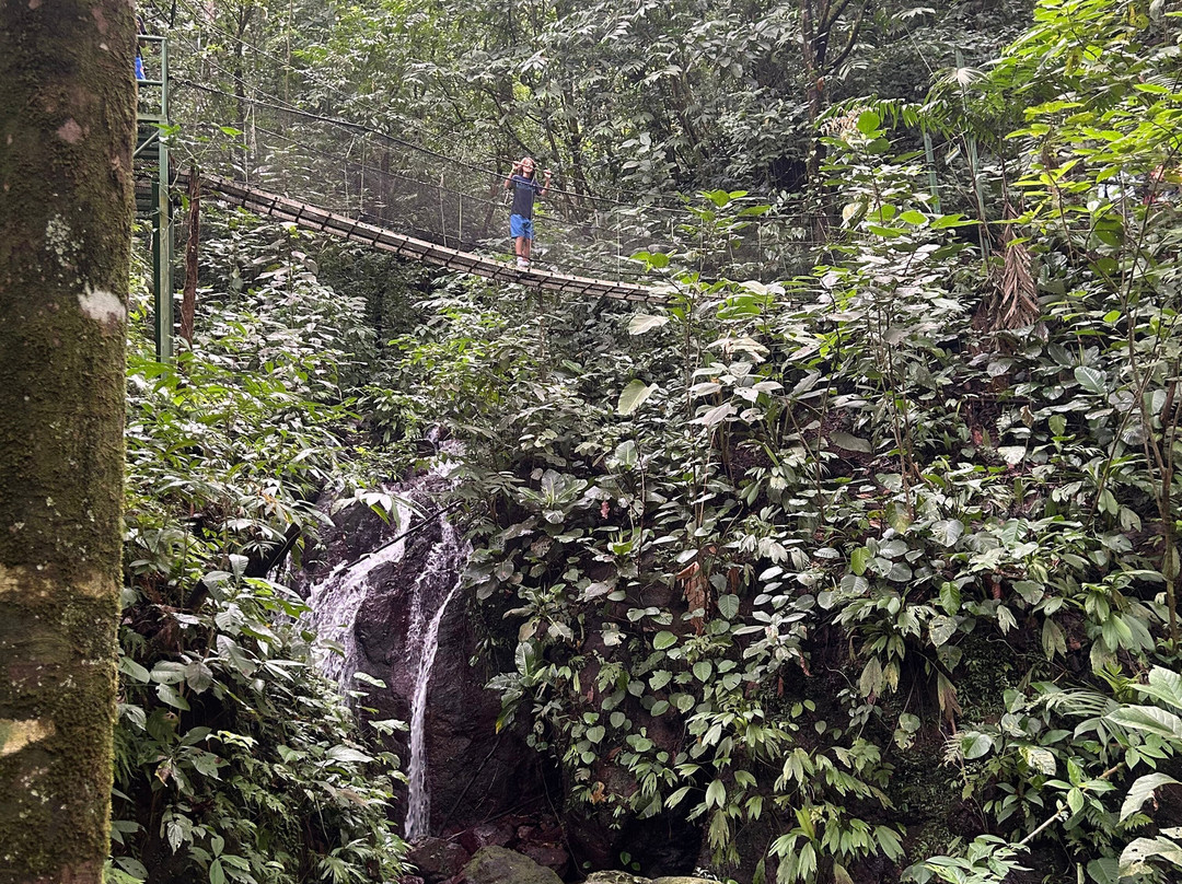 Rainmaker Park-帕利塔必去景点