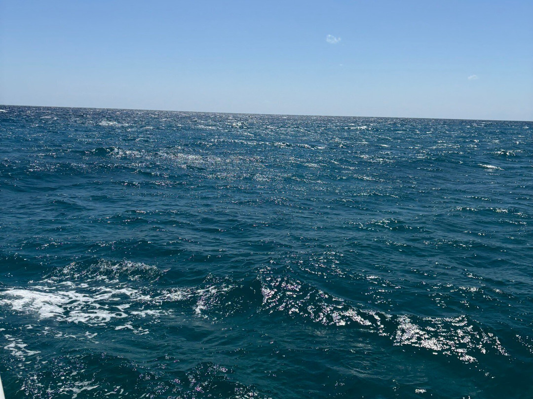 Cancun Adventures - Luxury Sailing & Snorkeling-普拉亚德尔卡曼必去景点