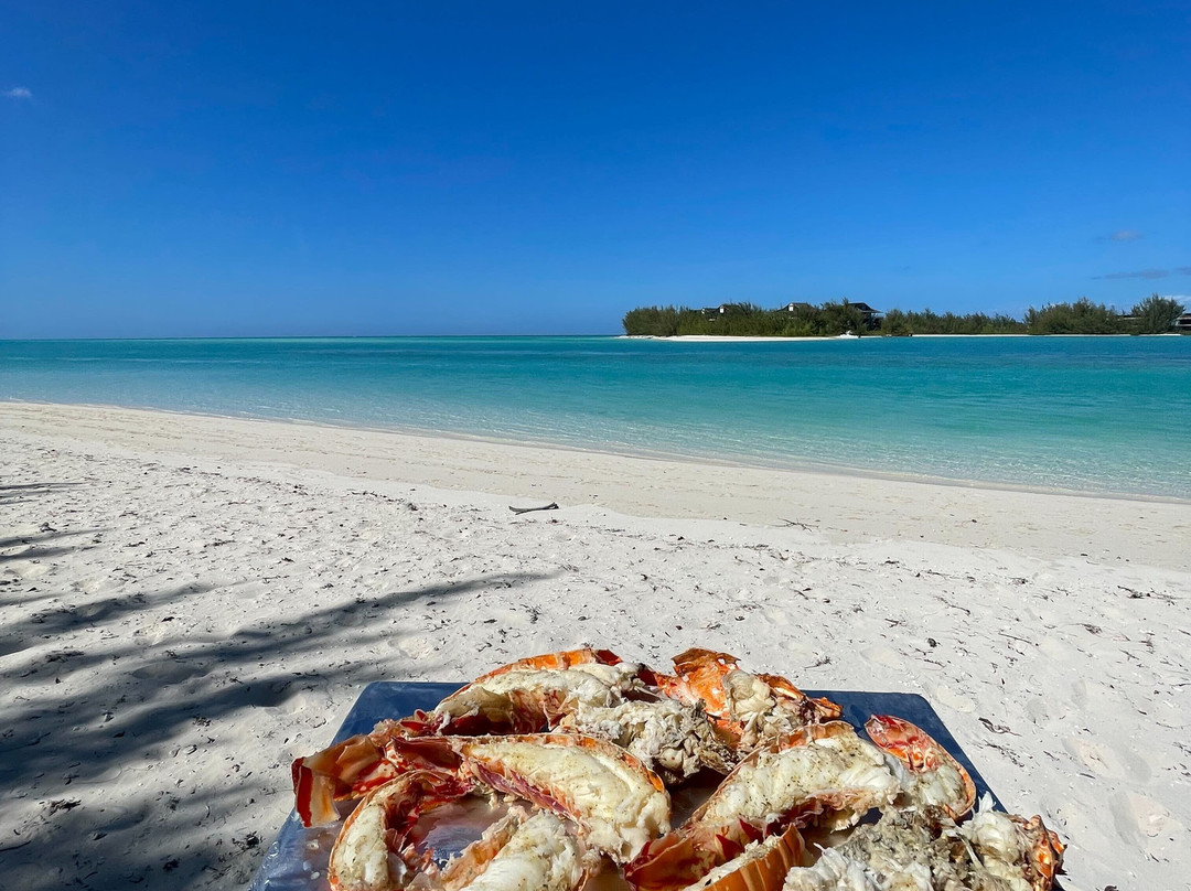 Blue Ocean Tours-Turtle Cove必去景点
