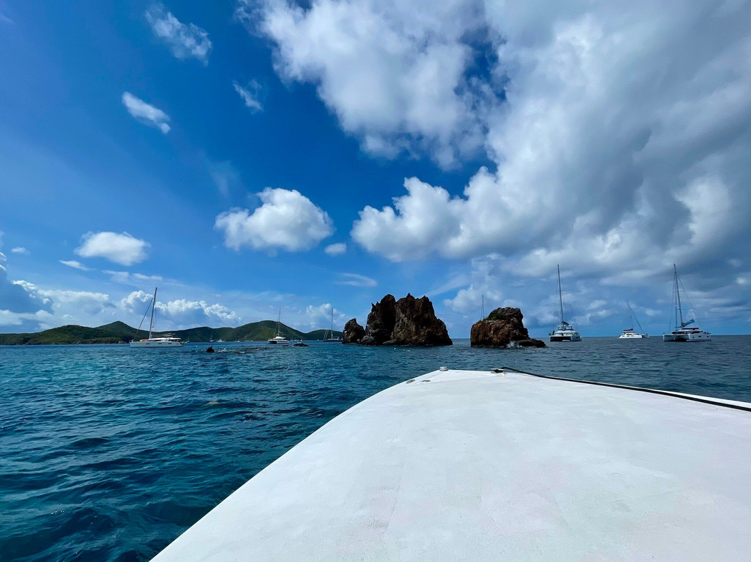 Local Flavor Charters-克鲁兹湾必去景点