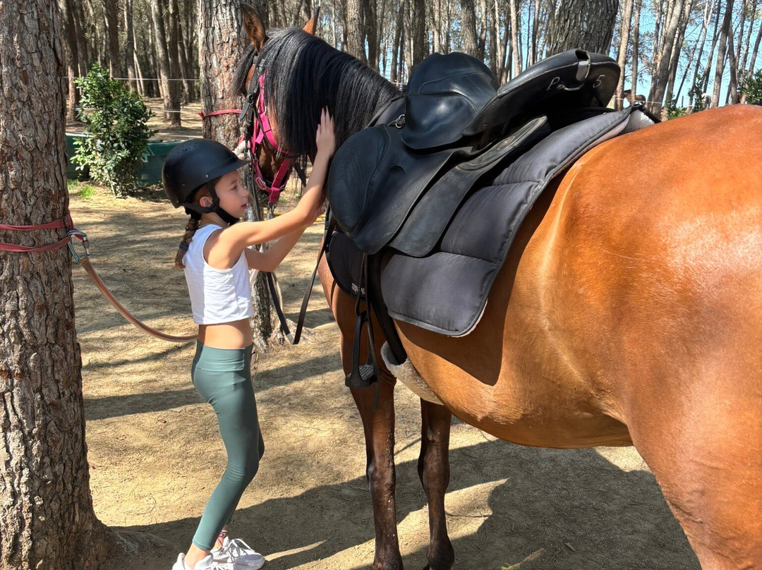 Panorama Trails-Terradelles必去景点