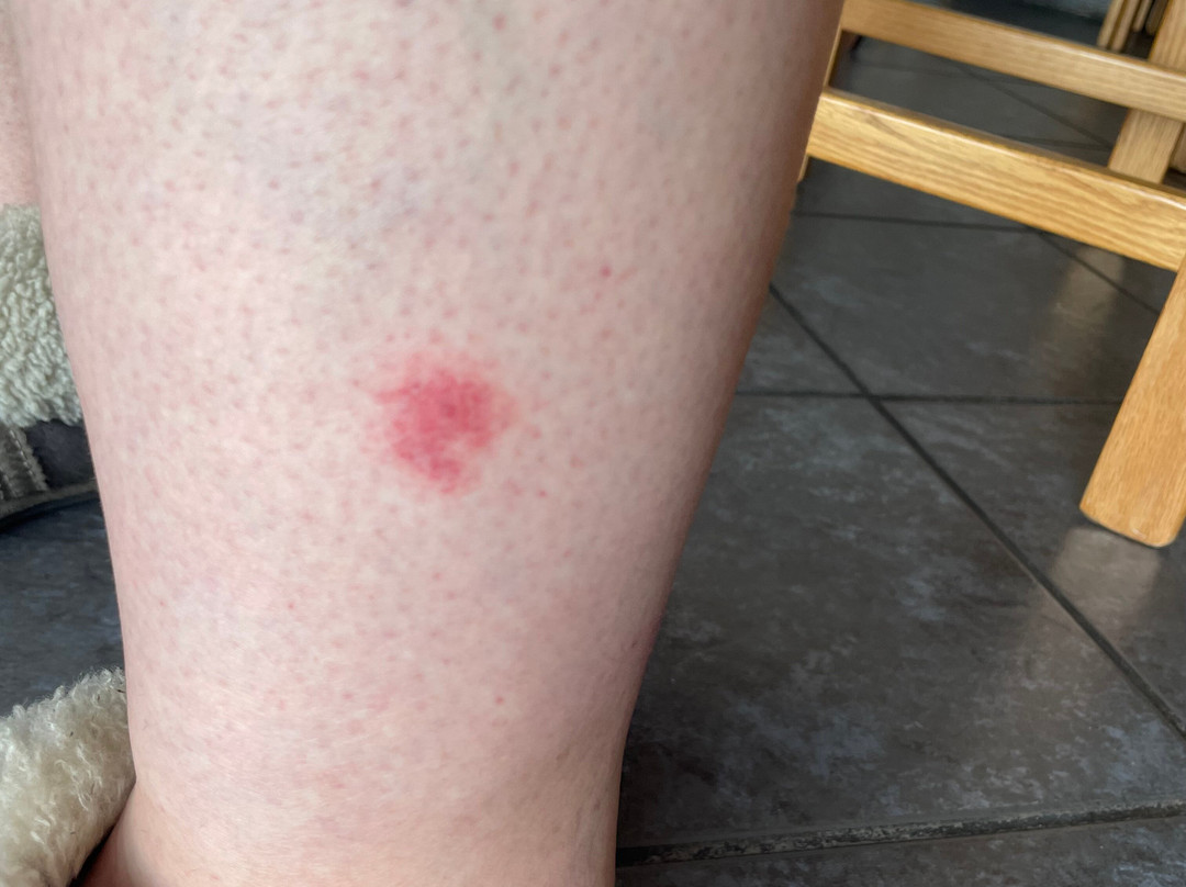 Val De Vine Guesthouse主图