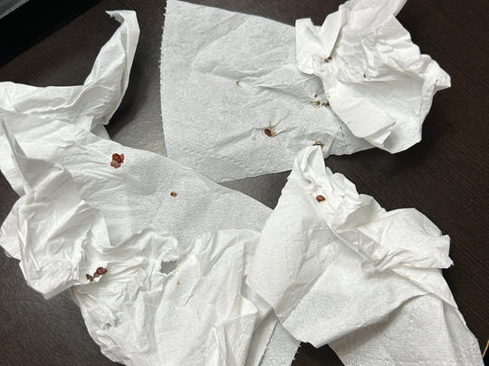 查尔斯湖赌场区温盖特温德姆酒店主图