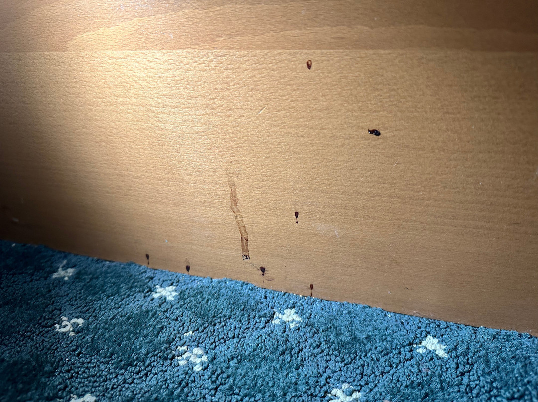 Baymont by Wyndham Helena主图