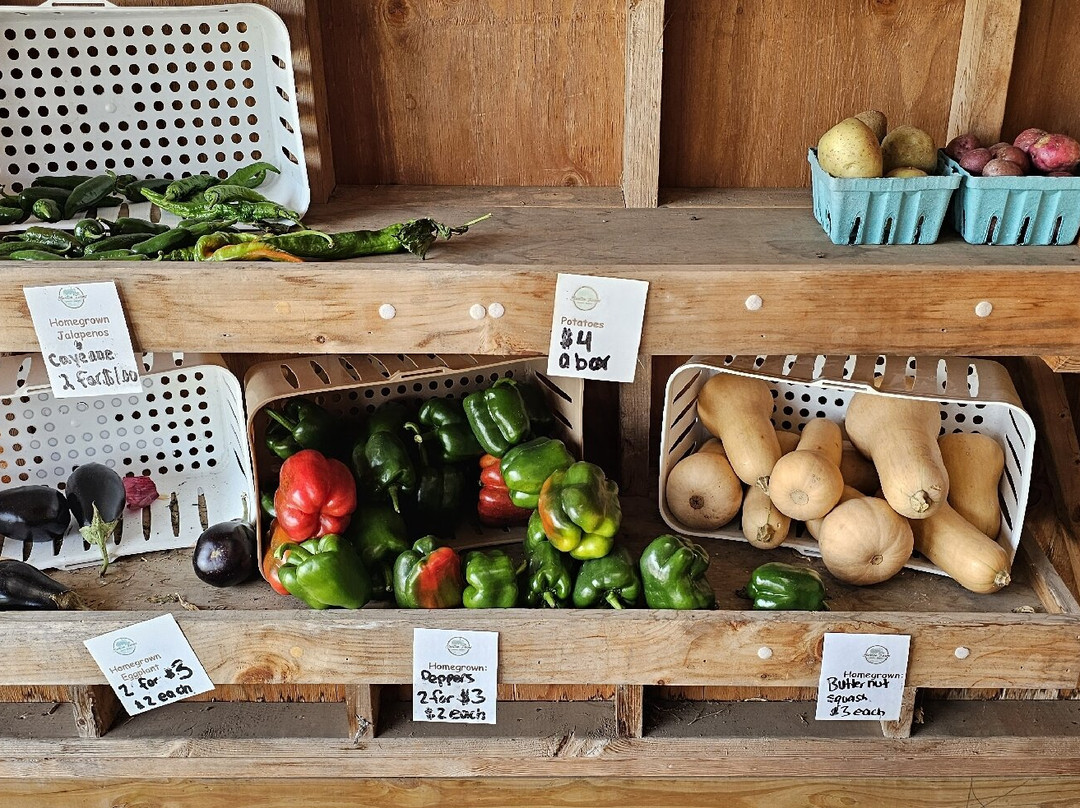 Burton Farms-Glen Arm必去景点