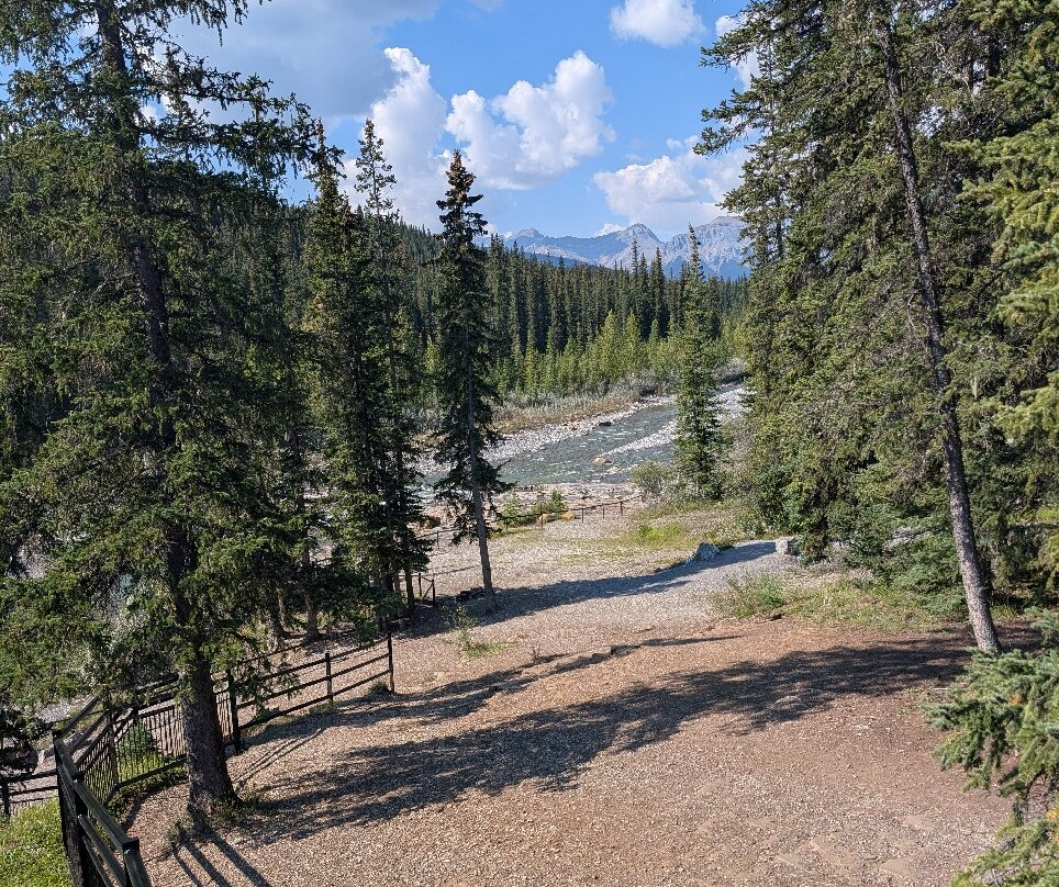 Crescent Falls Provincial Recreation Area-Clearwater County必去景点