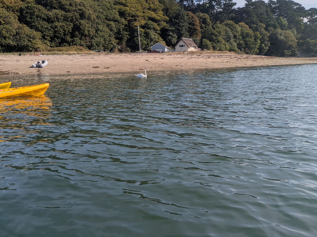 Koru Kayaking-St Agnes必去景点