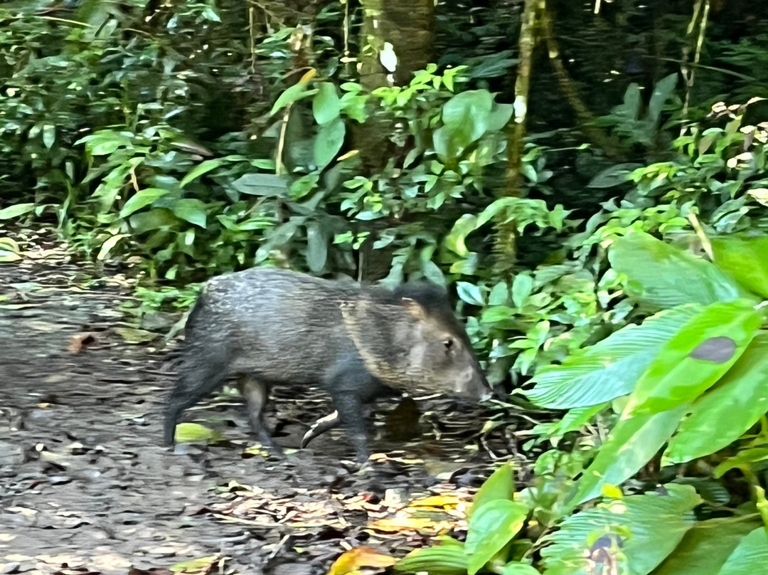 Pacheco Tours-德雷克湾必去景点