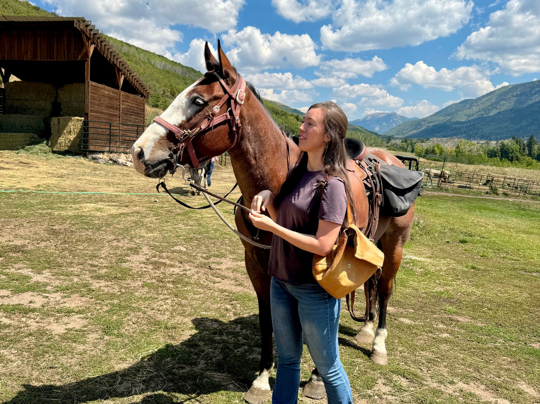 North Forty Escapes-Oakley必去景点