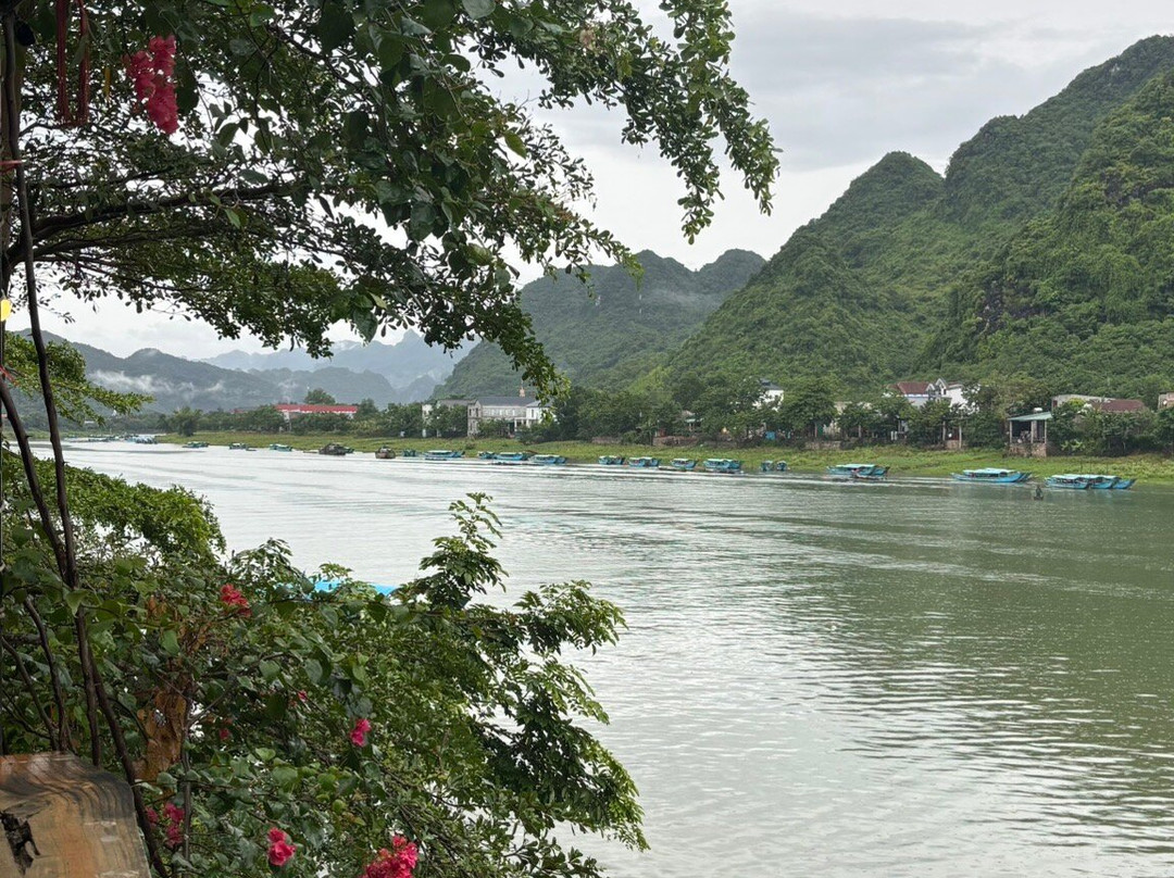 Phong Nha Coco house Homestay主图