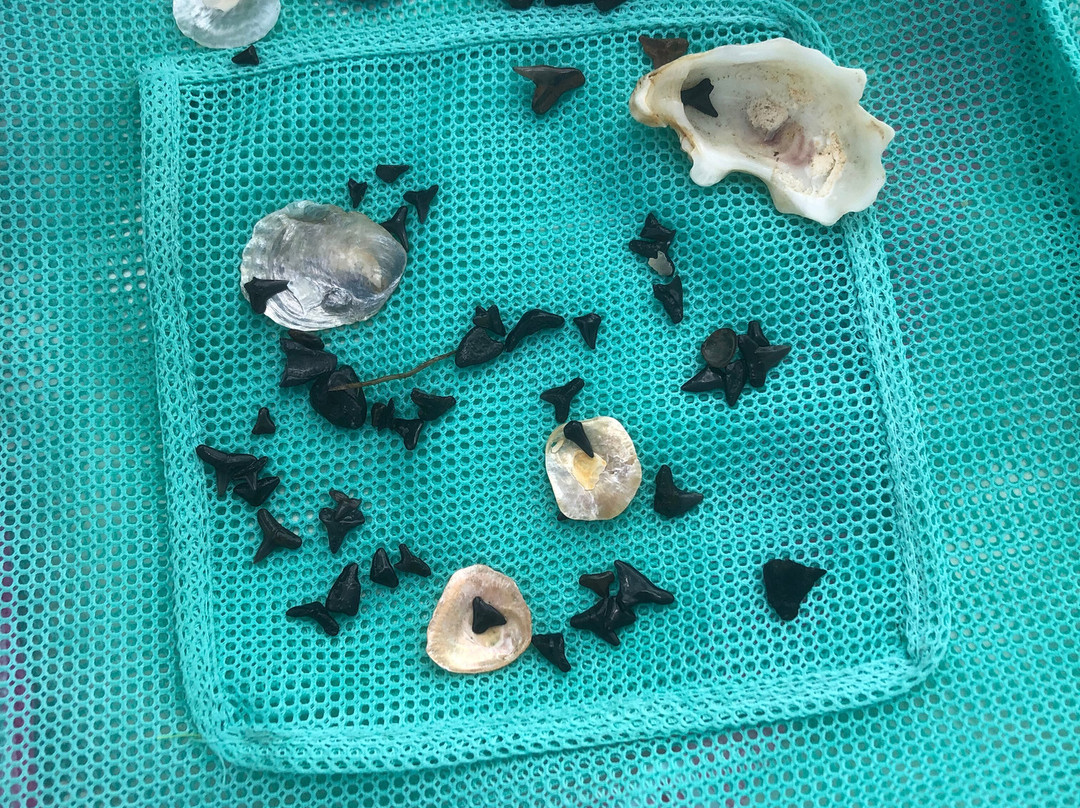 Pogies-Swansboro必去景点