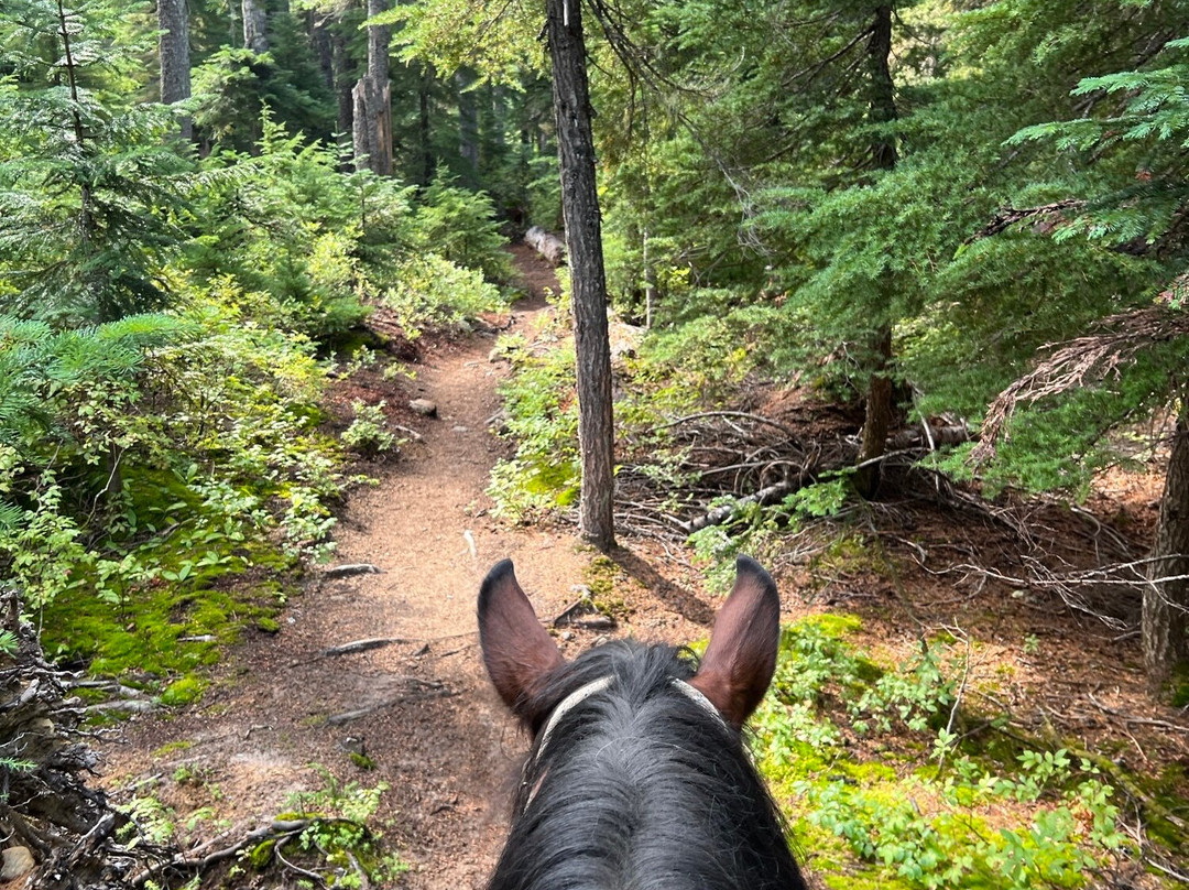 Three Peaks Outfitters - Day Tours-Cle Elum必去景点