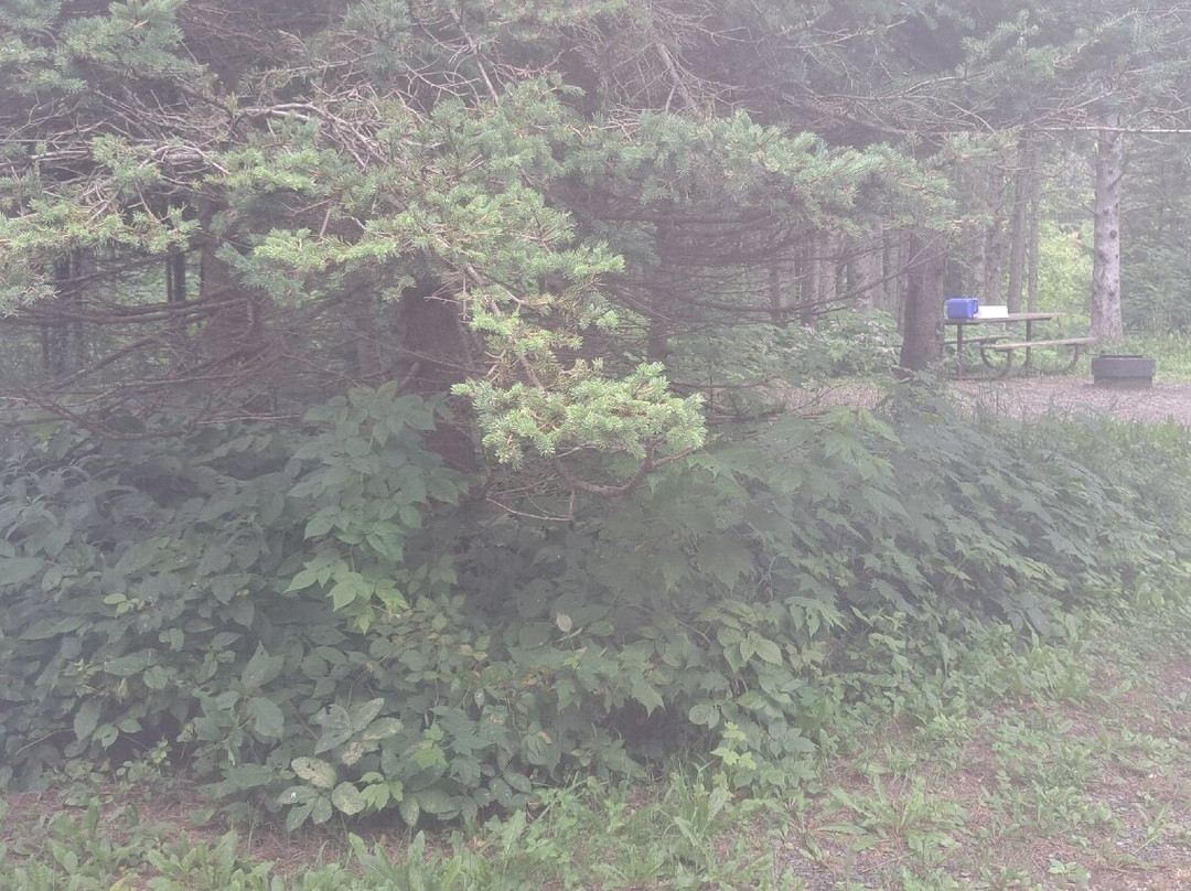 Judge C.R. Magney State Park-大马雷必去景点