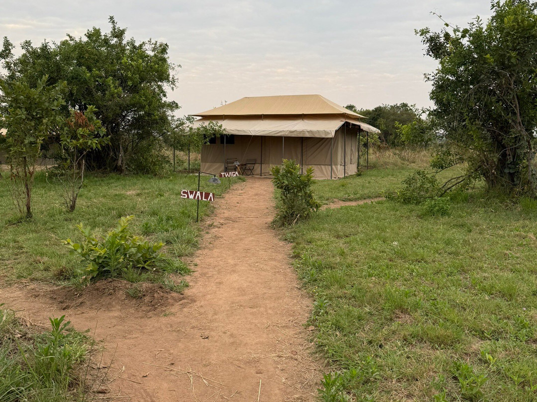 Sero Tented Camp-Seronera必去景点