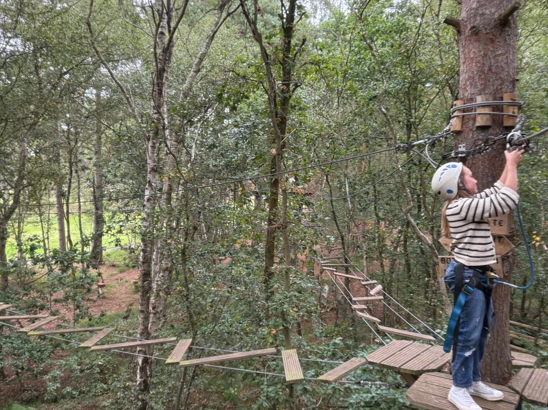 Wild Pines Park-Market Rasen必去景点