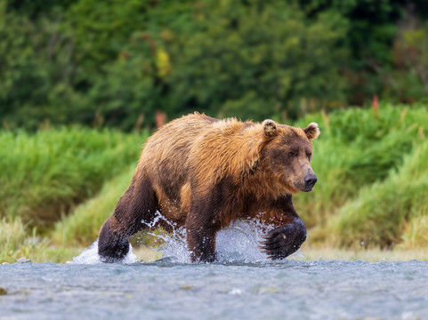 Alaska Ultimate Safaris-荷马必去景点
