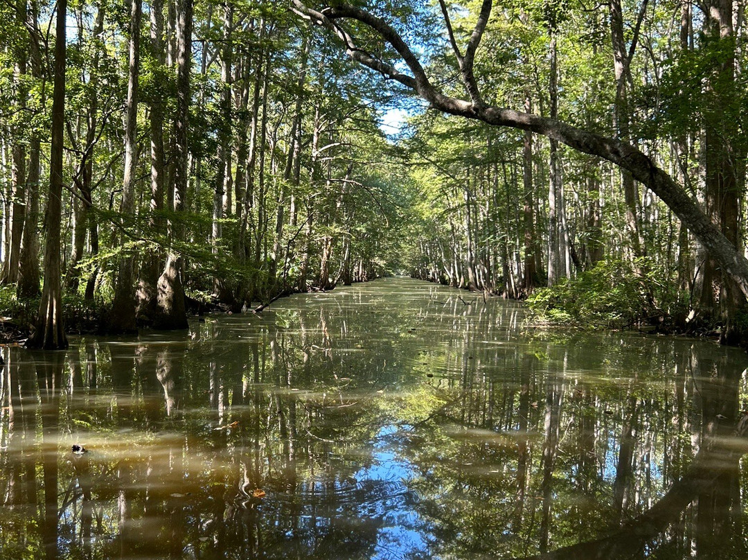 Backwater Tours-圣罗萨海滩必去景点