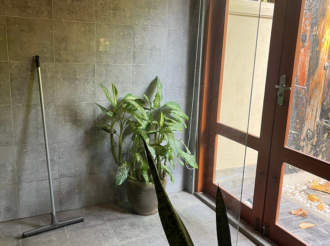 The Spice Trail主图