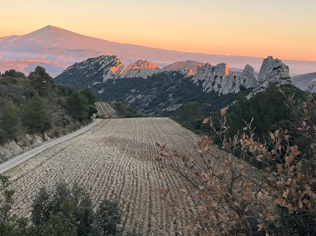 Dentelles De Montmirail-Gigondas必去景点