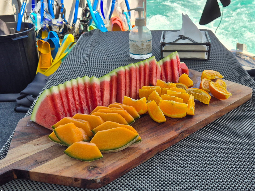 Ningaloo Whaleshark n Dive-埃克斯茅斯必去景点