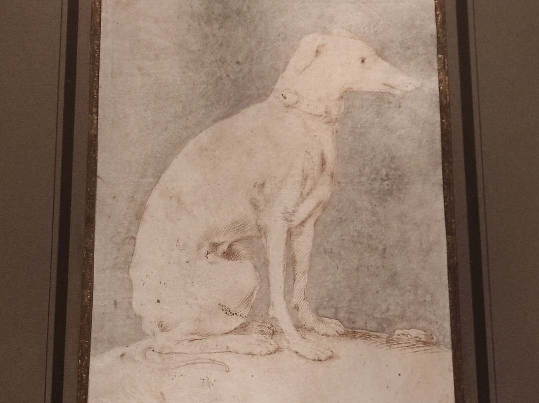 Pinacoteca G Stuard-帕尔马必去景点