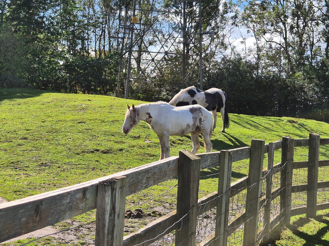 Acorn Farm-利物浦必去景点