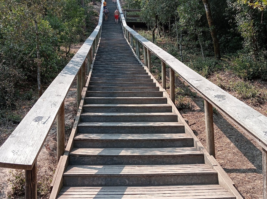 Pey de la Blet-La Barre-de-Monts必去景点