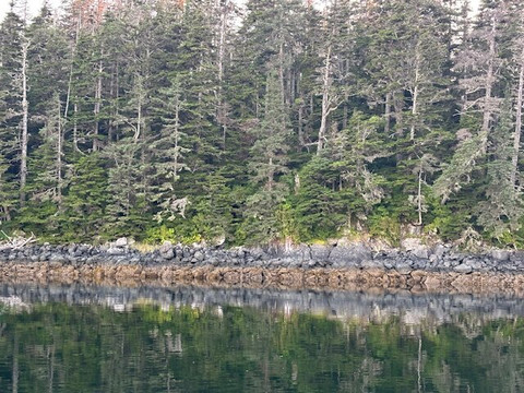 Pacific Catalyst-朱诺必去景点