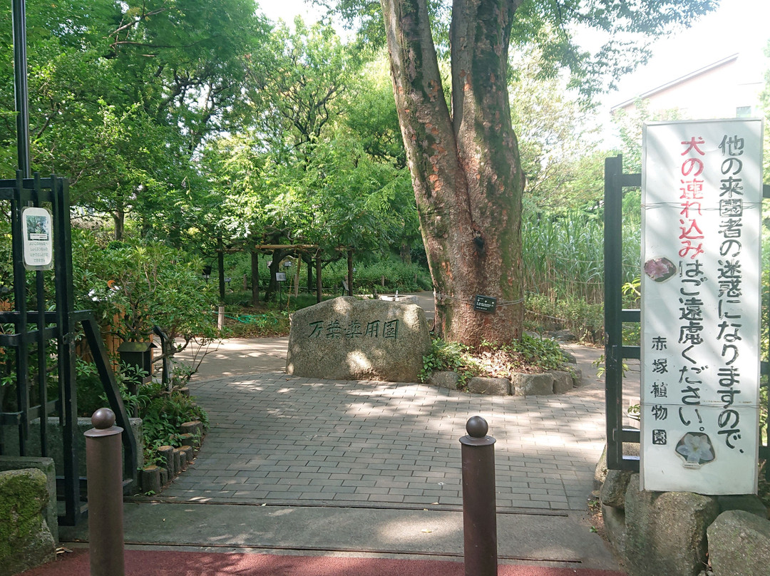 Akatsuka Botanical Gardens-板桥区必去景点