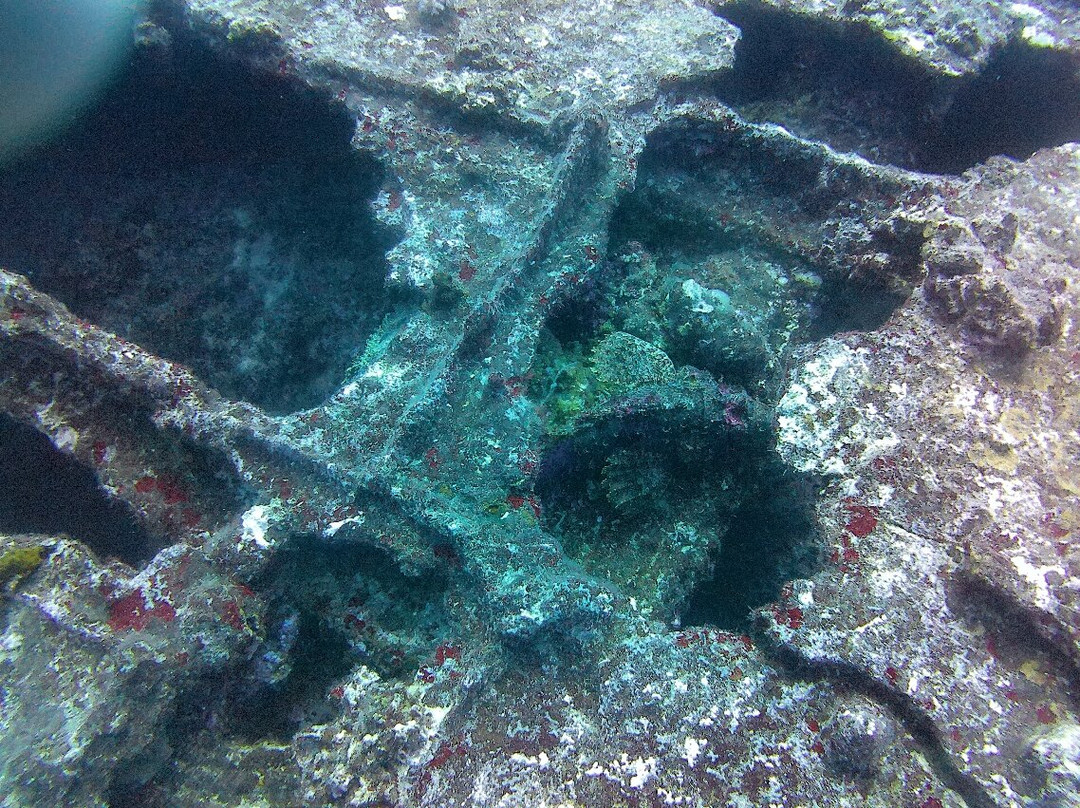 Orca Dive Club - Pereybere-Pereybere必去景点