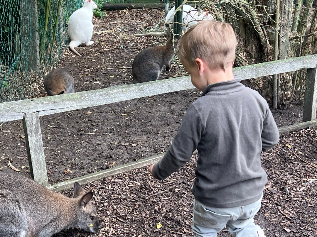Uilen- en Dierenpark De Paay-Beesd必去景点