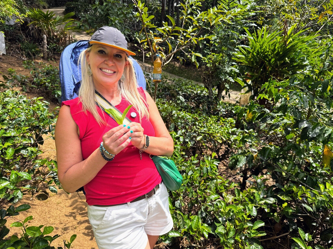 Ella Organic Tea Garden-Heeloya必去景点