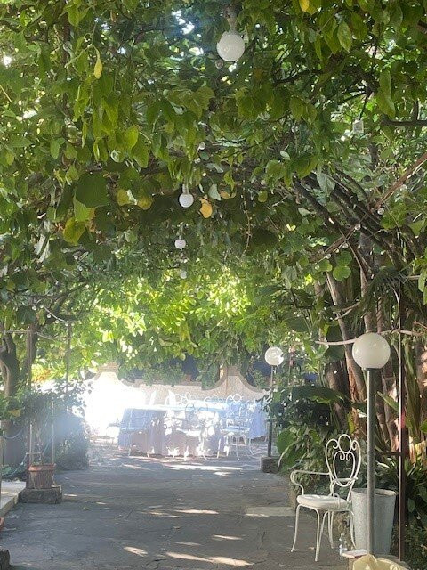 Reginna Palace Hotel主图