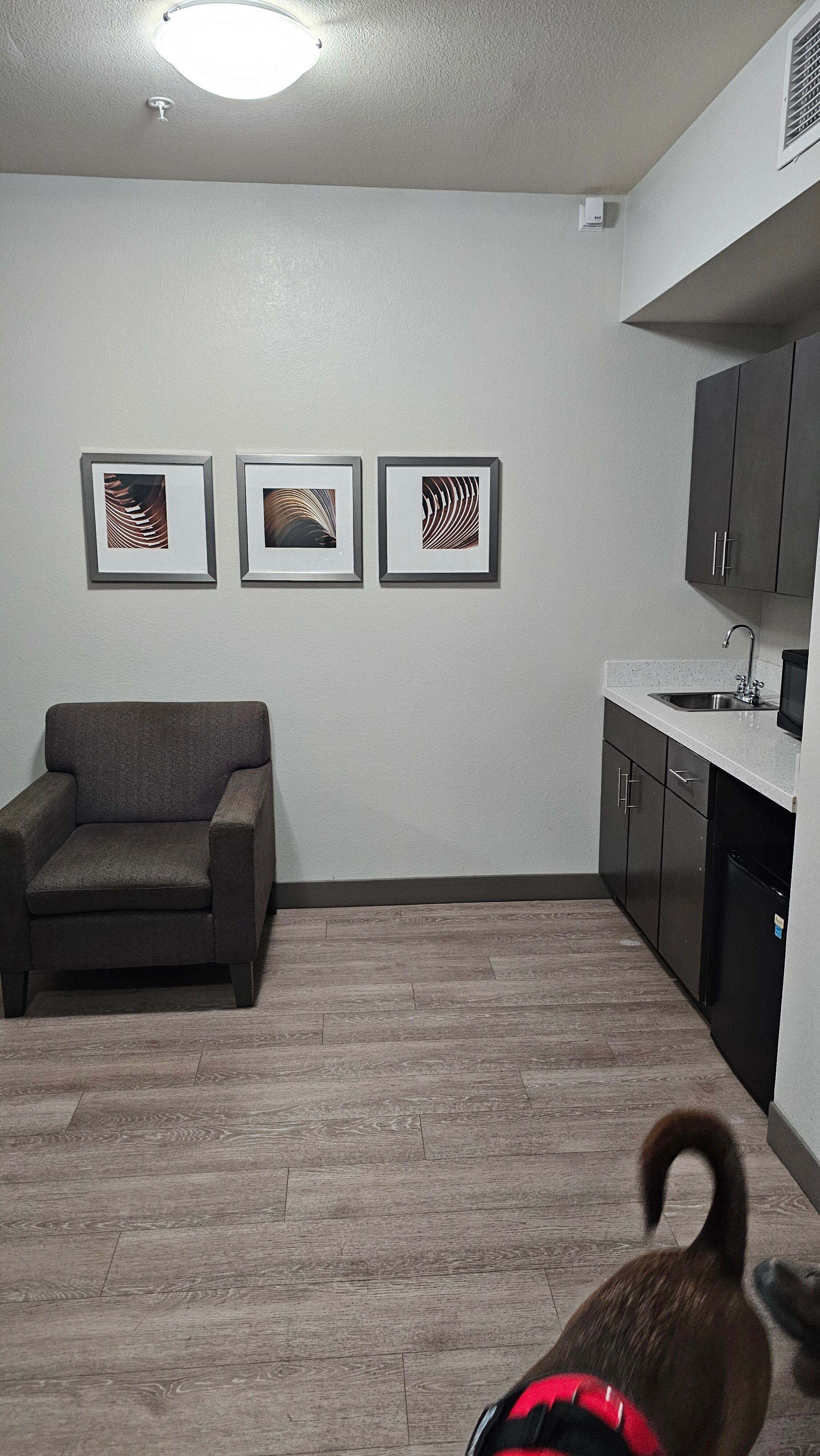 Holiday Inn Texarkana Arkansas Conv Ctr By IHG-客卧