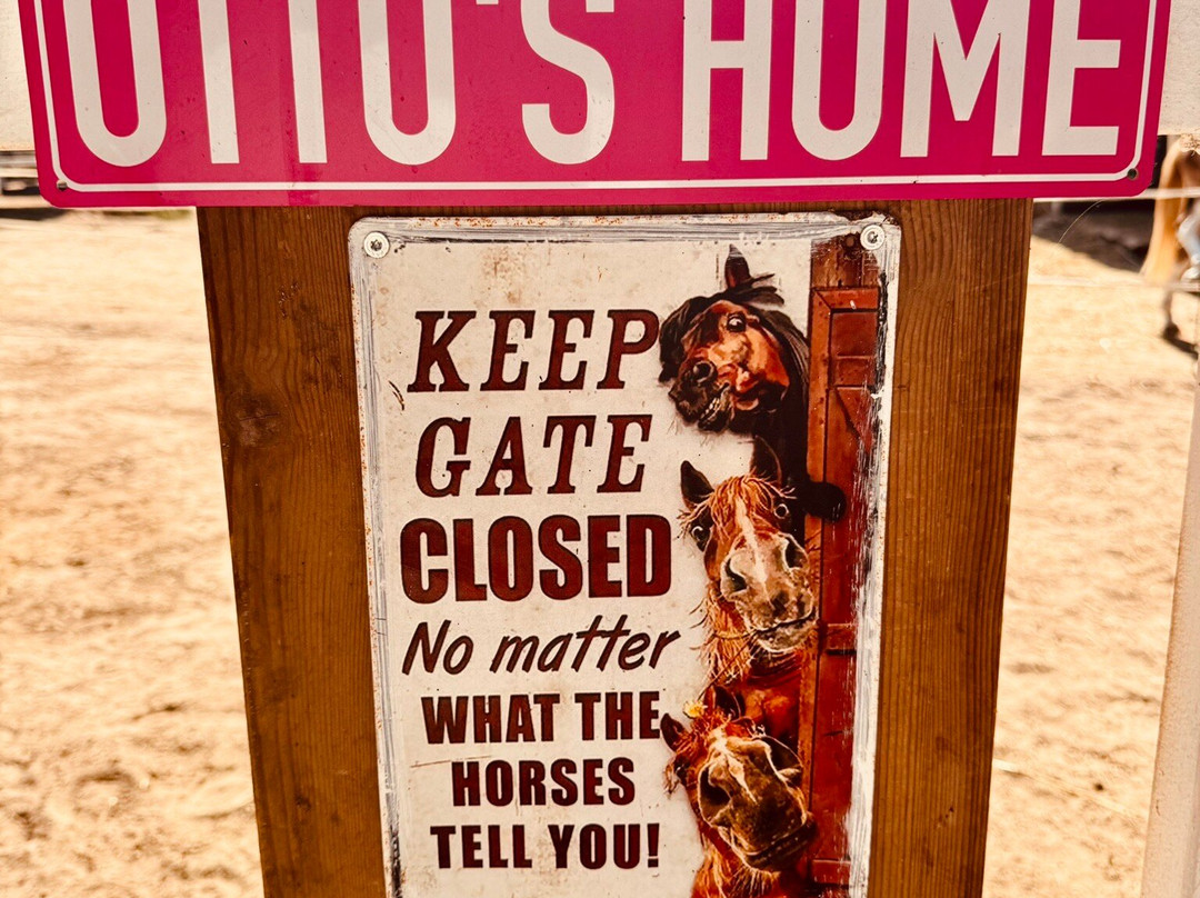 Rancho Bonanza-Cala Ratjada必去景点