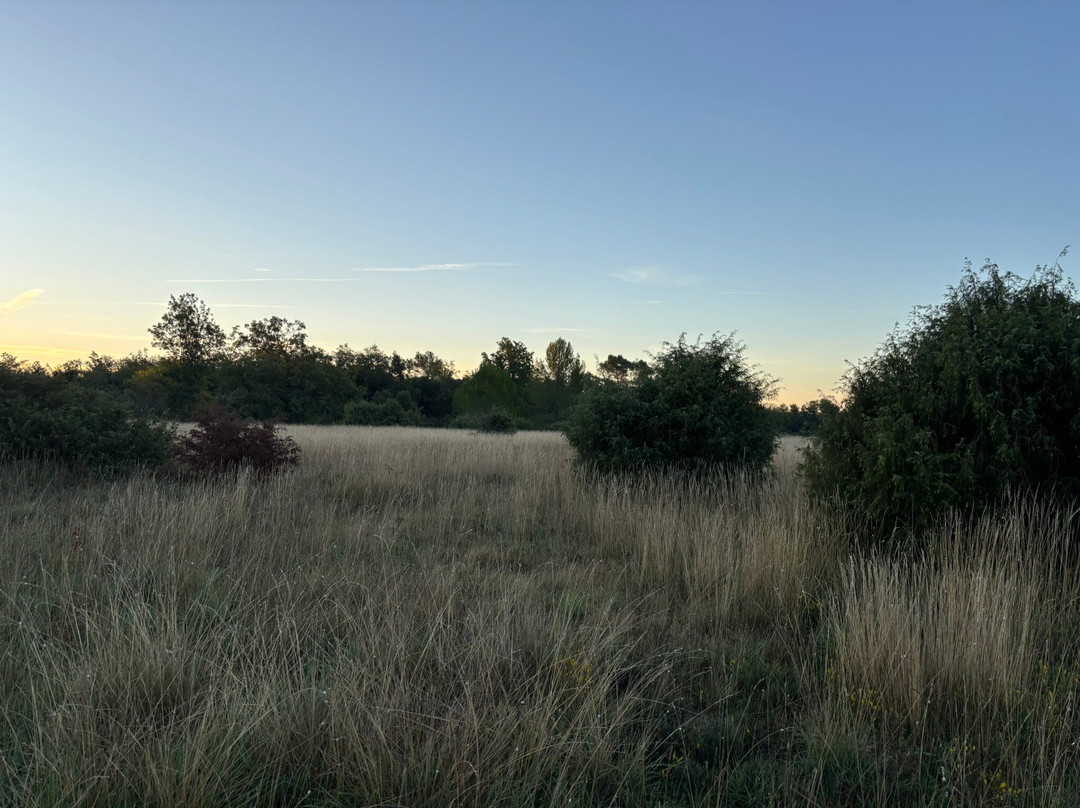 Domaine de la Blaque主图