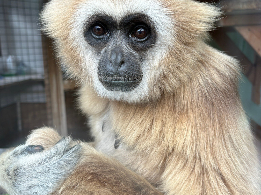 猴子天堂-纽波特必去景点
