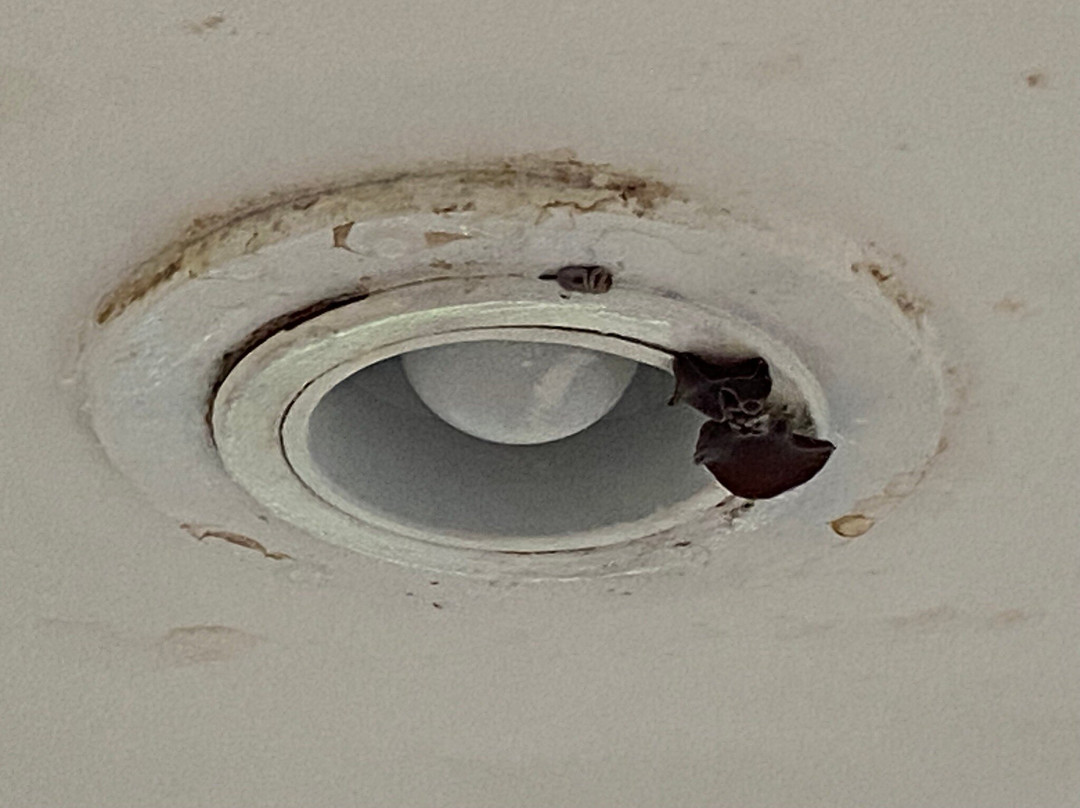 The Haere Seminyak By Astadala主图