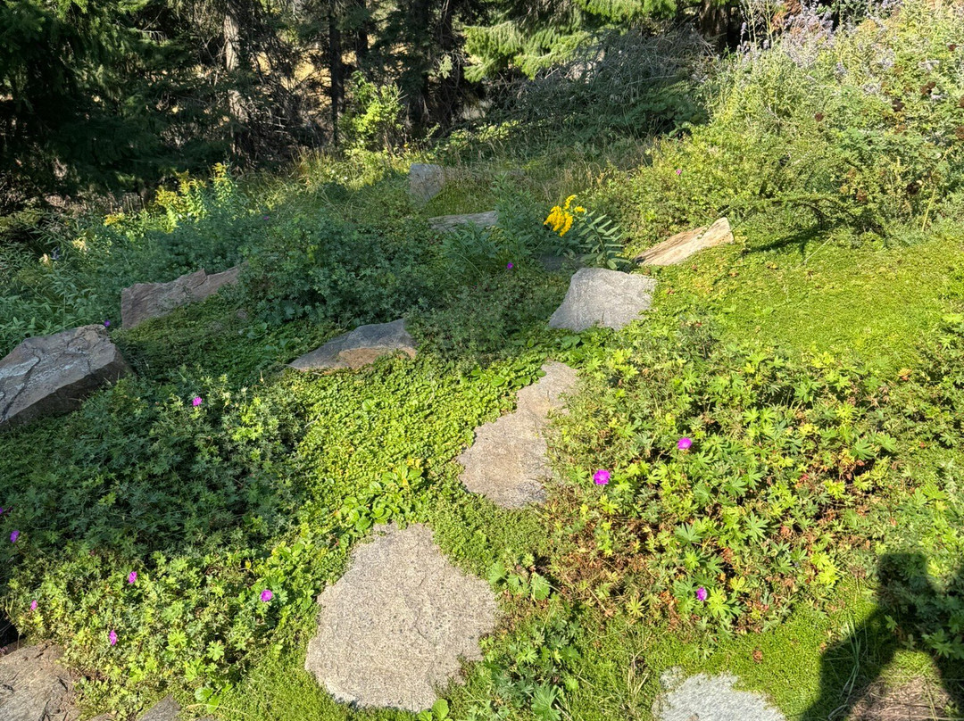 Ohme Gardens County Park-韦纳奇必去景点