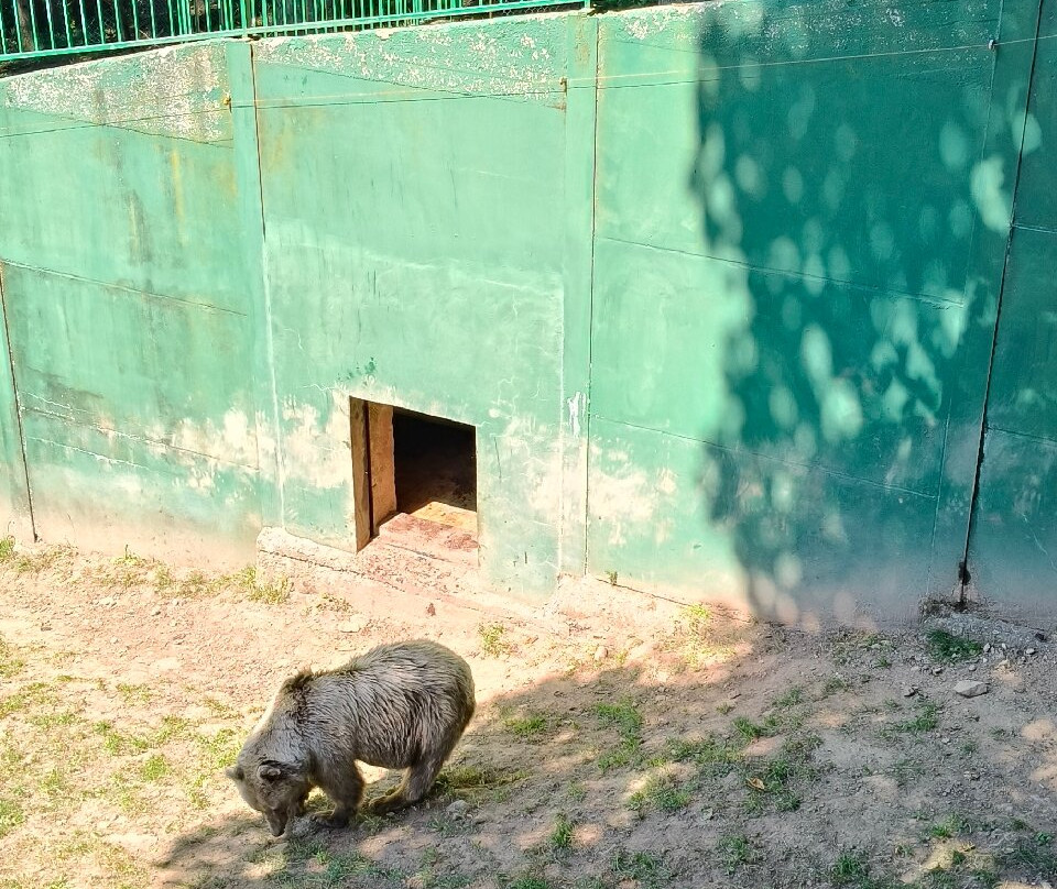 Parco dell'Orecchiella-San Romano in Garfagnana必去景点